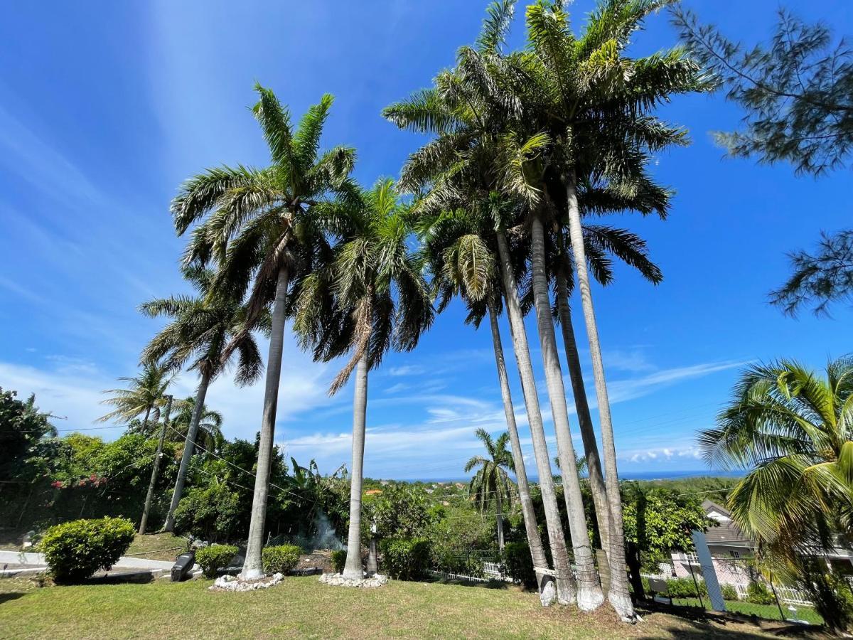 The Lodge @ Peaceful Palms Montego Bay Exteriör bild