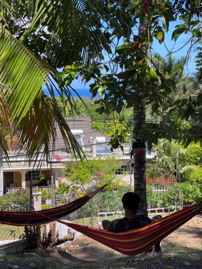 The Lodge @ Peaceful Palms Montego Bay Exteriör bild