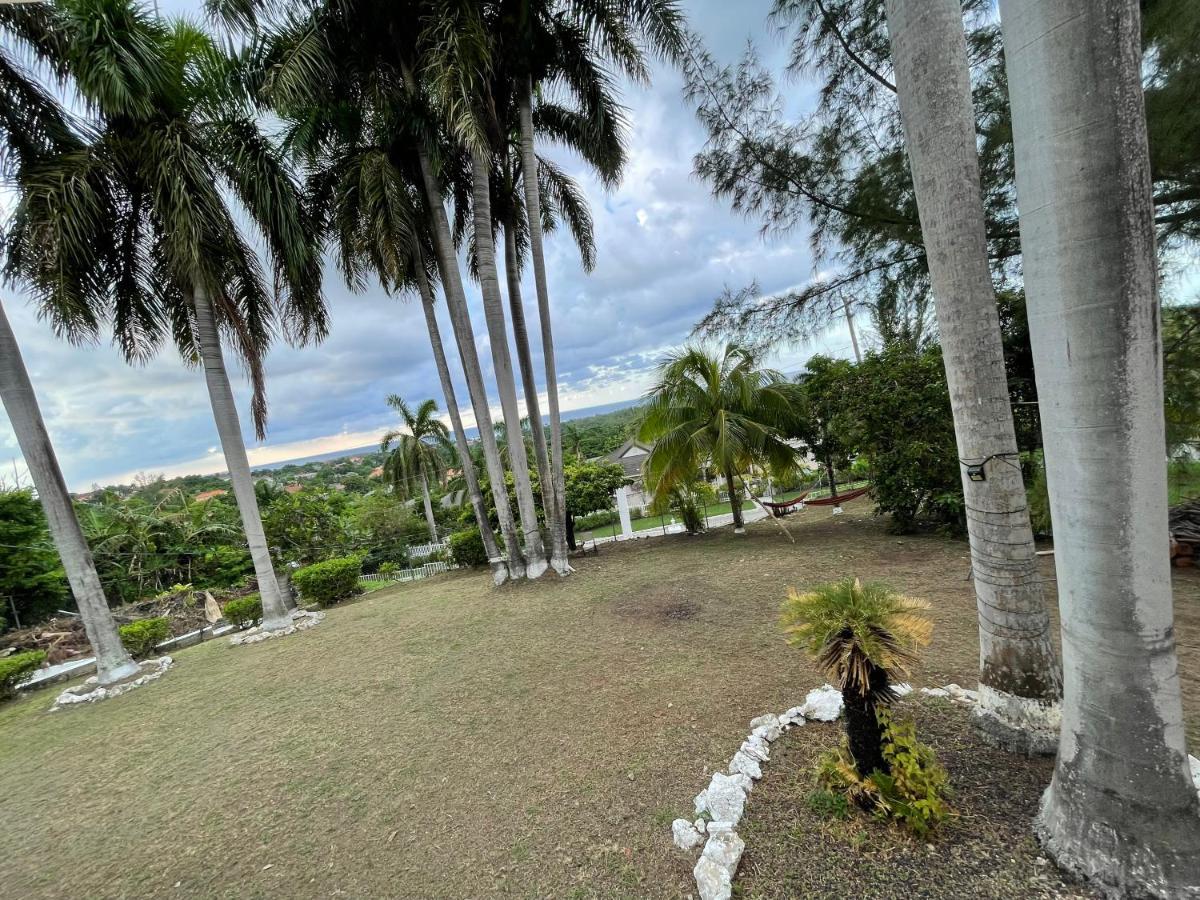 The Lodge @ Peaceful Palms Montego Bay Exteriör bild