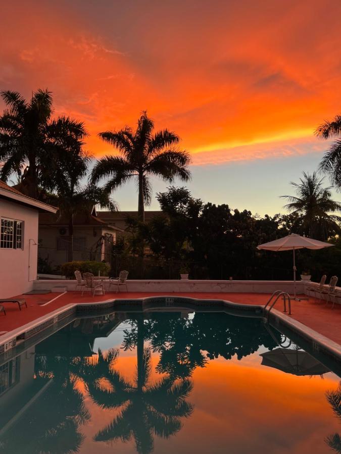 The Lodge @ Peaceful Palms Montego Bay Exteriör bild